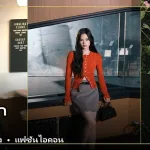 ภาพปกเปิดวาร์ป แอลลี่ อชิรญา